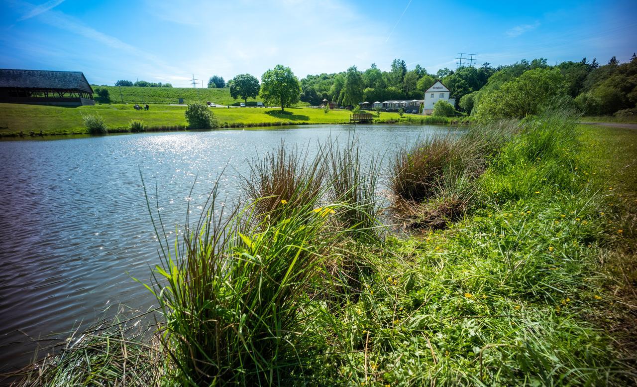 Domaene Am See 짐메른 외부 사진